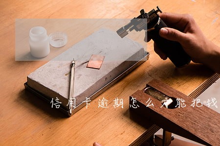信用卡逾期怎么才能把钱还上