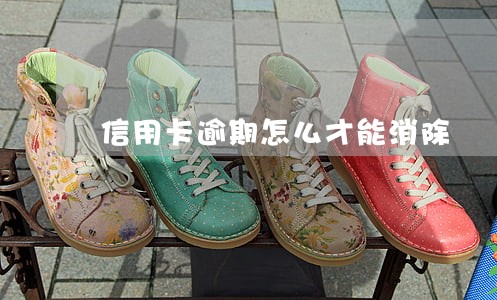 信用卡逾期怎么才能消除 信用卡逾期怎么才能消除