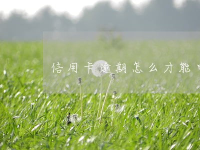 信用卡逾期怎么才能申请分期还款 信用卡逾期怎么才能申请分期还款
