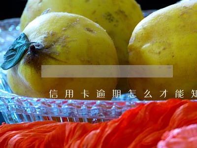 信用卡逾期怎么才能知道被冻结 信用卡逾期怎么才能知道被冻结