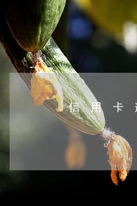 信用卡逾期怎么打失联用户 信用卡逾期怎么打失联用户