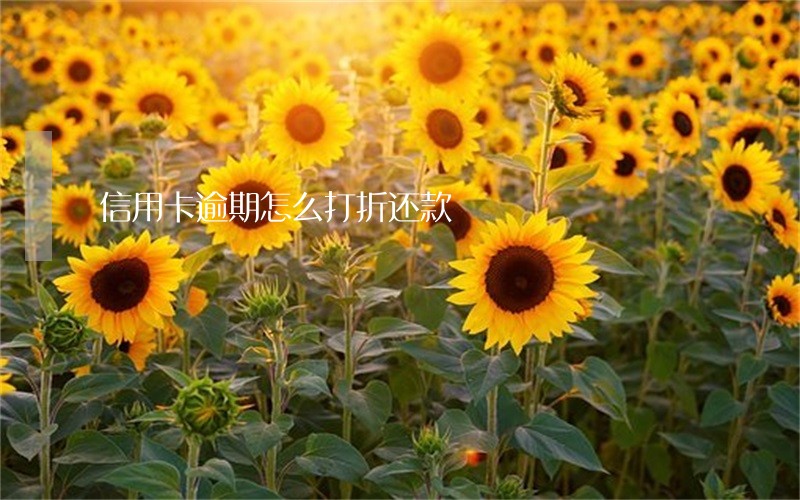 信用卡逾期怎么打折还款 信用卡逾期怎么打折还款