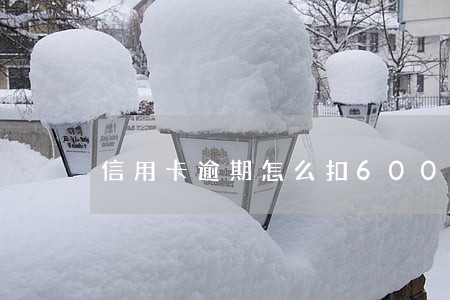 信用卡逾期怎么扣600多 信用卡逾期怎么扣600多