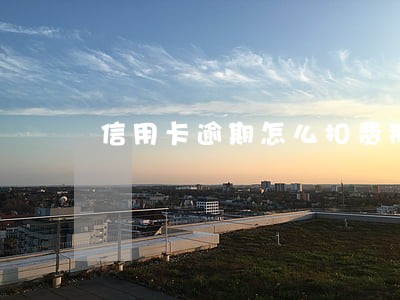 信用卡逾期怎么扣费那么多 信用卡逾期怎么扣费那么多