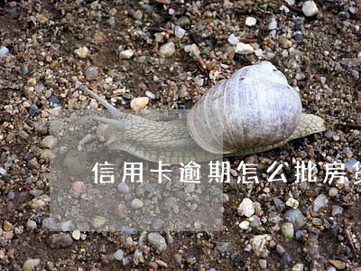 信用卡逾期怎么批房贷 信用卡逾期怎么批房贷