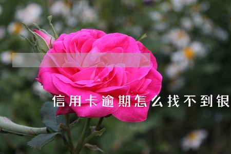 信用卡逾期怎么找不到银行 信用卡逾期怎么找不到银行
