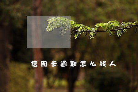 信用卡逾期怎么找人 信用卡逾期怎么找人