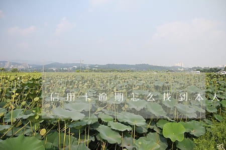 信用卡逾期怎么找到本人