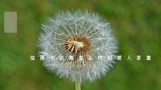 信用卡逾期怎么找到爱人家里 信用卡逾期怎么找到爱人家里