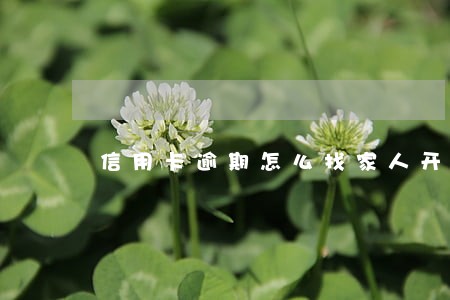 信用卡逾期怎么找家人开口 信用卡逾期怎么找家人开口