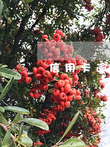 信用卡逾期怎么找法务
