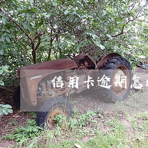 信用卡逾期怎么找法务协商 信用卡逾期怎么找法务协商