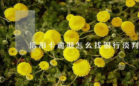 信用卡逾期怎么找银行谈判 信用卡逾期怎么找银行谈判