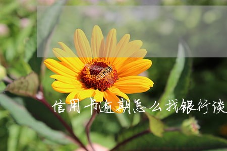信用卡逾期怎么找银行谈话 信用卡逾期怎么找银行谈话