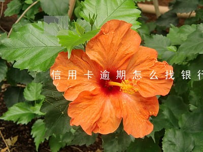 信用卡逾期怎么找银行贷款 信用卡逾期怎么找银行贷款