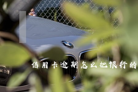 信用卡逾期怎么把银行的钱还上 信用卡逾期怎么把银行的钱还上