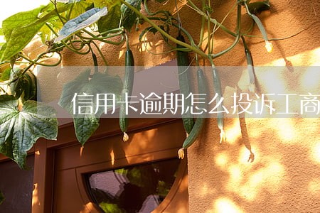 信用卡逾期怎么投诉工商银行 信用卡逾期怎么投诉工商银行