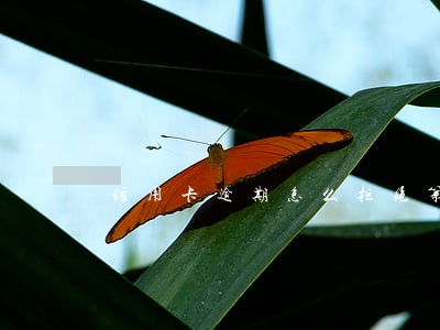 信用卡逾期怎么拒绝第三方 信用卡逾期怎么拒绝第三方
