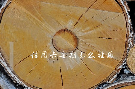 信用卡逾期怎么挂账 信用卡逾期怎么挂账