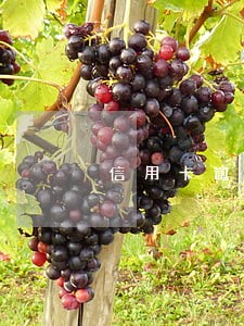 信用卡逾期怎么提醒吗 信用卡逾期怎么提醒吗