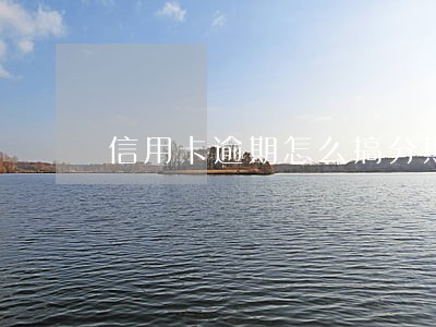 信用卡逾期怎么搞分期 信用卡逾期怎么搞分期