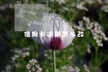 信用卡逾期怎么改 信用卡逾期怎么改