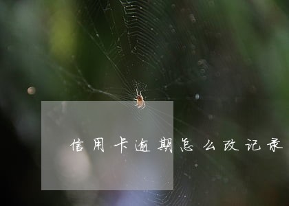 信用卡逾期怎么改记录 信用卡逾期怎么改记录