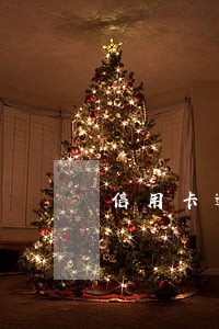 信用卡逾期怎么显示逾期利息 信用卡逾期怎么显示逾期利息