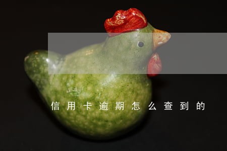 信用卡逾期怎么查到的 信用卡逾期怎么查到的