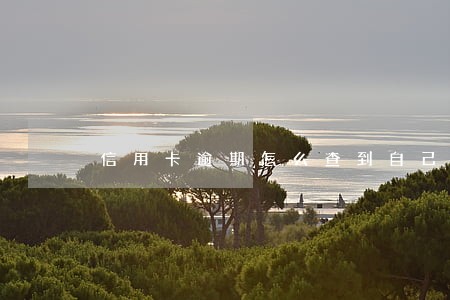 信用卡逾期怎么查到自己的征信 信用卡逾期怎么查到自己的征信