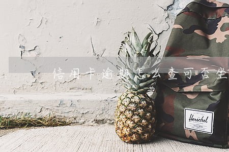 信用卡逾期怎么查可否坐飞机