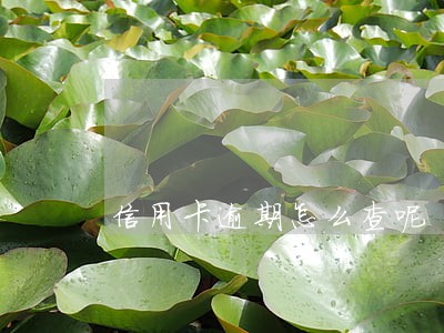 信用卡逾期怎么查呢