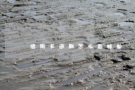 信用卡逾期怎么查帐单 信用卡逾期怎么查帐单