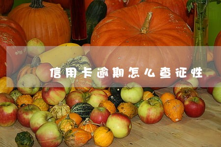 信用卡逾期怎么查征性 信用卡逾期怎么查征性