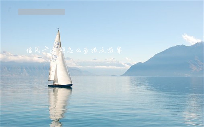 信用卡逾期怎么查报没报案