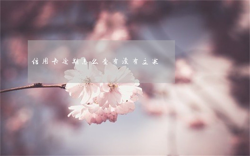 信用卡逾期怎么查有没有立案 信用卡逾期怎么查有没有立案