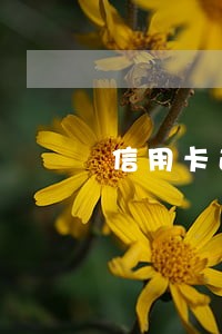 信用卡逾期怎么查租房 信用卡逾期怎么查租房