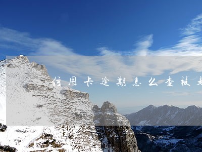 信用卡逾期怎么查被起诉了 信用卡逾期怎么查被起诉了