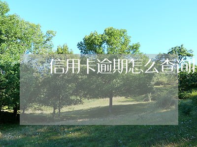 信用卡逾期怎么查询报案 信用卡逾期怎么查询报案