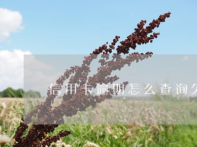 信用卡逾期怎么查询欠款本金