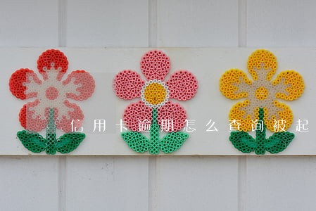 信用卡逾期怎么查询被起诉了 信用卡逾期怎么查询被起诉了