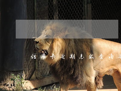 信用卡逾期怎么查询逾期 信用卡逾期怎么查询逾期