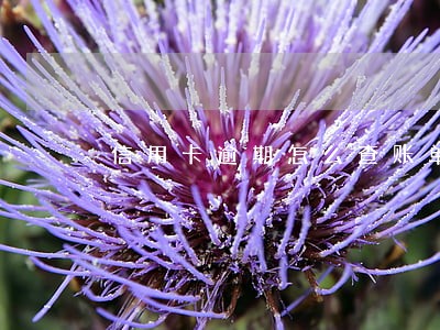 信用卡逾期怎么查账单中国 信用卡逾期怎么查账单中国
