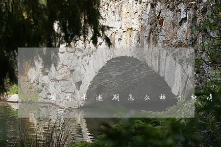 信用卡逾期怎么样才能消除