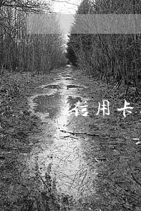 信用卡逾期怎么样提额度 信用卡逾期怎么样提额度