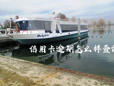 信用卡逾期怎么样查询 信用卡逾期怎么样查询