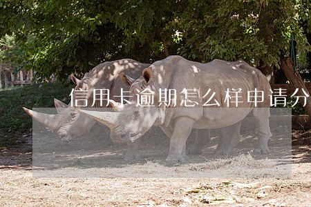 信用卡逾期怎么样申请分期