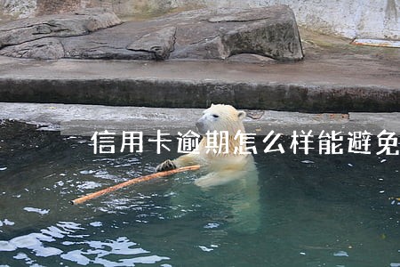 信用卡逾期怎么样能避免起诉 信用卡逾期怎么样能避免起诉