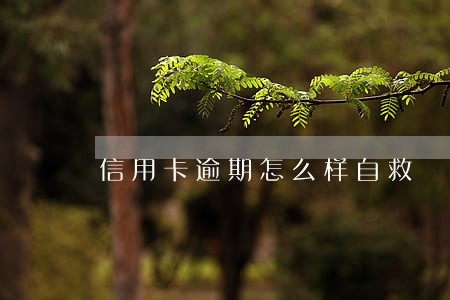 信用卡逾期怎么样自救 信用卡逾期怎么样自救
