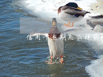 信用卡逾期怎么样贷款买房 信用卡逾期怎么样贷款买房